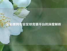 足彩票网专业足球竞猜平台的深度解析