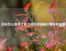 足彩怎么算中了多少钱如何准确计算中奖金额