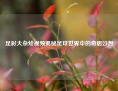 足彩大杂烩视频揭秘足球世界中的奇思妙想