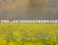 世界杯app足彩为您的足彩投注增添便利与乐趣