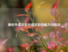 哪些外盘足彩外盘足彩的魅力与挑战