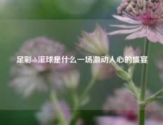 足彩sb滚球是什么一场激动人心的盛宴
