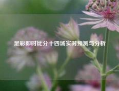 足彩即时比分十四场实时预测与分析