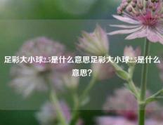 足彩大小球2.5是什么意思足彩大小球2.5是什么意思？
