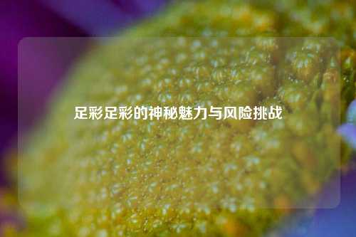 足彩足彩的神秘魅力与风险挑战