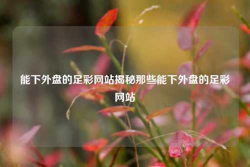 能下外盘的足彩网站揭秘那些能下外盘的足彩网站