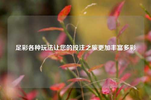 足彩各种玩法让您的投注之旅更加丰富多彩