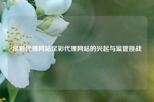 足彩代理网站足彩代理网站的兴起与监管挑战