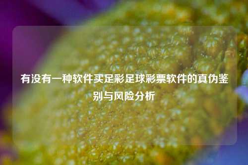 有没有一种软件买足彩足球彩票软件的真伪鉴别与风险分析
