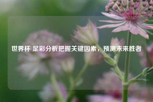 世界杯 足彩分析把握关键因素，预测未来胜者