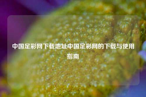 中国足彩网下载地址中国足彩网的下载与使用指南