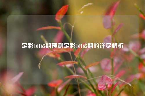 足彩16165期预测足彩16165期的详尽解析