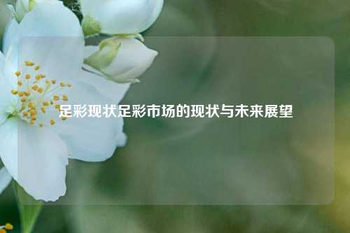 足彩现状足彩市场的现状与未来展望