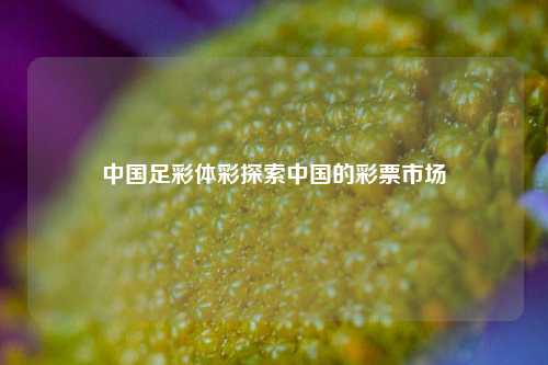 中国足彩体彩探索中国的彩票市场