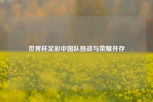 世界杯足彩中国队挑战与荣耀并存