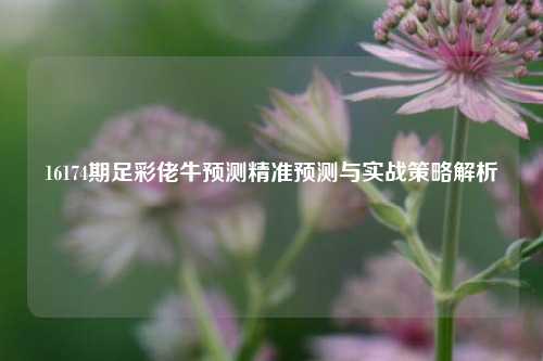16174期足彩佬牛预测精准预测与实战策略解析