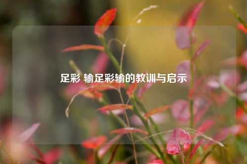 足彩 输足彩输的教训与启示
