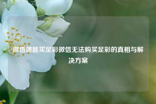 微信哪能买足彩微信无法购买足彩的真相与解决方案