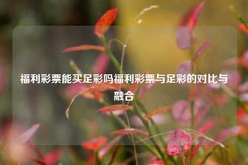 福利彩票能买足彩吗福利彩票与足彩的对比与融合