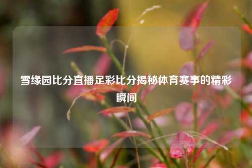 雪缘园比分直播足彩比分揭秘体育赛事的精彩瞬间