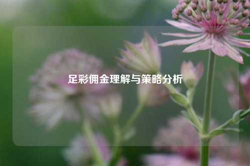 足彩佣金理解与策略分析