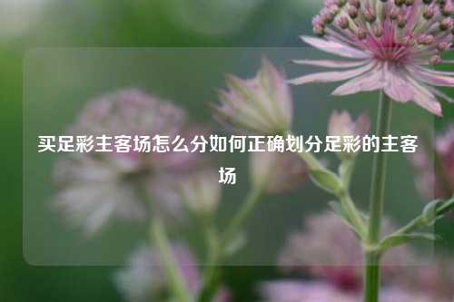 买足彩主客场怎么分如何正确划分足彩的主客场