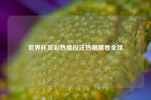 世界杯足彩热度投注热潮席卷全球
