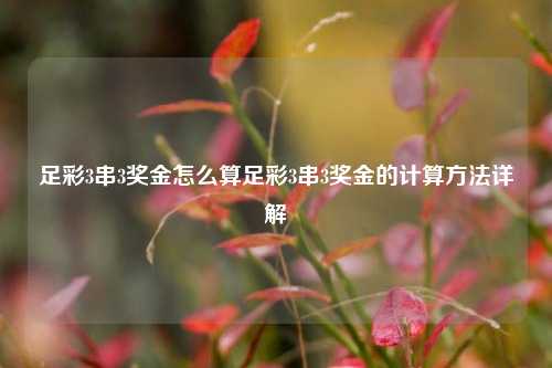 足彩3串3奖金怎么算足彩3串3奖金的计算方法详解