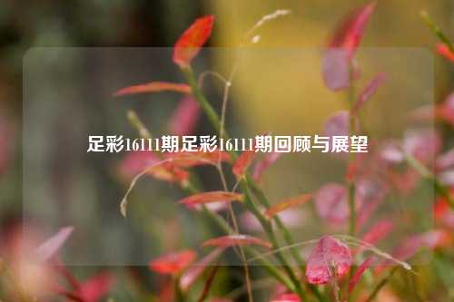 足彩16111期足彩16111期回顾与展望