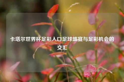 卡塔尔世界杯足彩入口足球盛宴与足彩机会的交汇