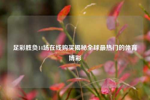 足彩胜负14场在线购买揭秘全球最热门的体育博彩
