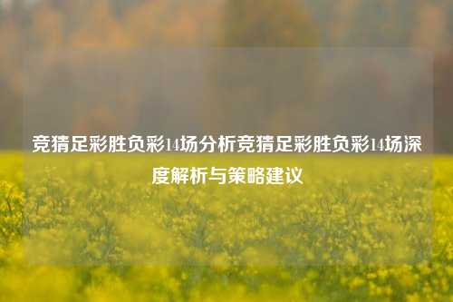 竞猜足彩胜负彩14场分析竞猜足彩胜负彩14场深度解析与策略建议