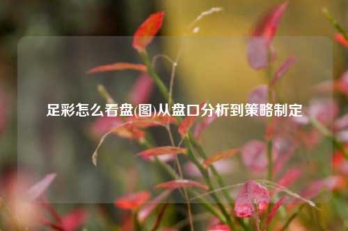 足彩怎么看盘(图)从盘口分析到策略制定