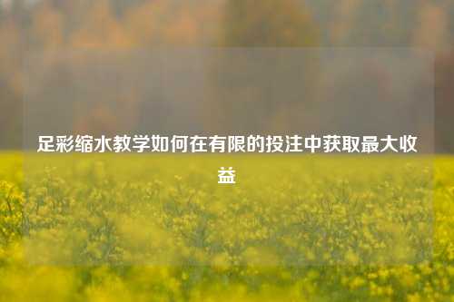 足彩缩水教学如何在有限的投注中获取最大收益