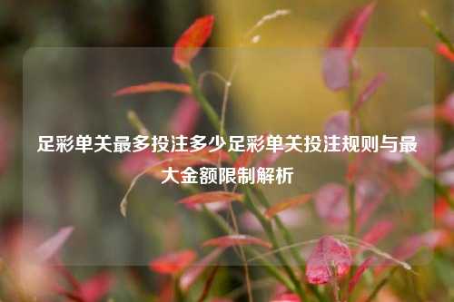 足彩单关最多投注多少足彩单关投注规则与最大金额限制解析